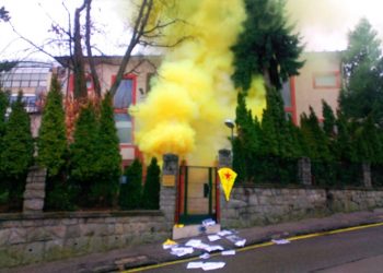 Ciwanên enternasyonal li ser konsiliya tirk çalakiyek pêk anîn