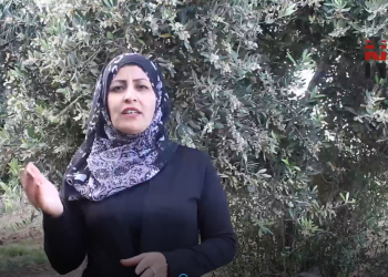 Ciwanên Ereb: Rêber APO di dil û mêjiyê me de ye