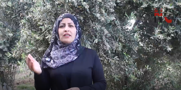 Ciwanên Ereb: Rêber APO di dil û mêjiyê me de ye