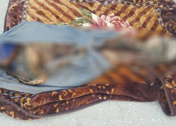 Leşkerên Tirk ciwanek li ser sînor kuştin