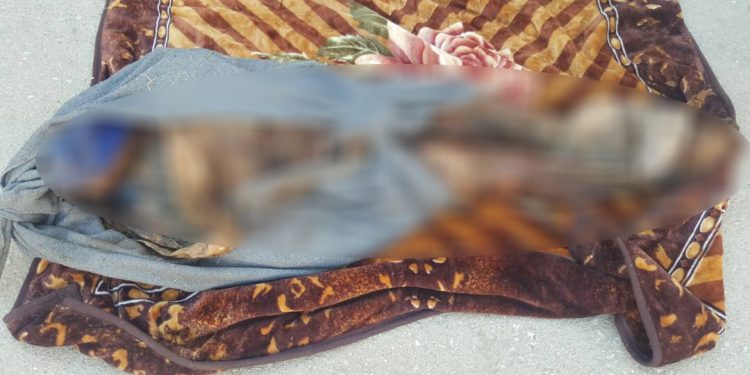 Leşkerên Tirk ciwanek li ser sînor kuştin