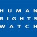 HRW: Dewleta Tikr û çeteyên wê Efrîn talan dikin