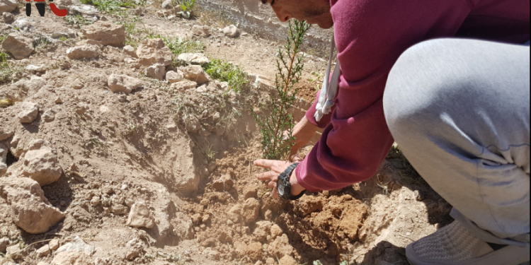 Ciwanên Girê sipî di 4′ nîsanê de dar çandin