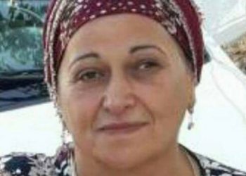 Li Efrînê jinek hate revandin