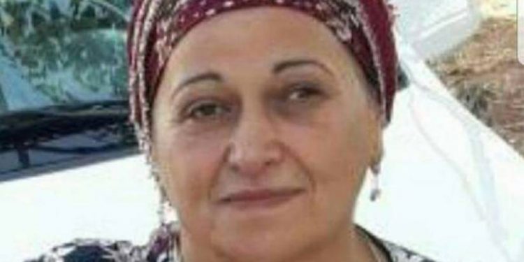 Li Efrînê jinek hate revandin