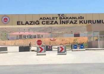 Li Girtîgeha Xarpêtê îşkenceya zayendî