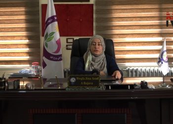 Jina azad pêşvebirina li Rojava misoger dike