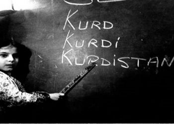 Zimanê Kurdî, zimanekî serbixwe ye xwedî dîrokeke taybetî ya pêşveçûnê ye