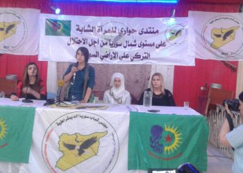 Jinên ciwan civînek berfireh li ser asta Bakurê Suryê di van kêliyan de li dar dixin