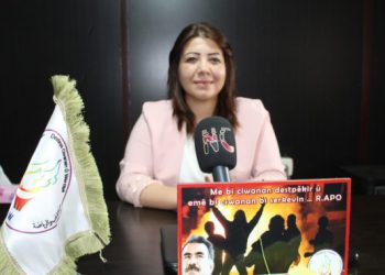 Hemrîn Elî: Di vê demê de gelek pirojeyên me ji bo ciwanan hene