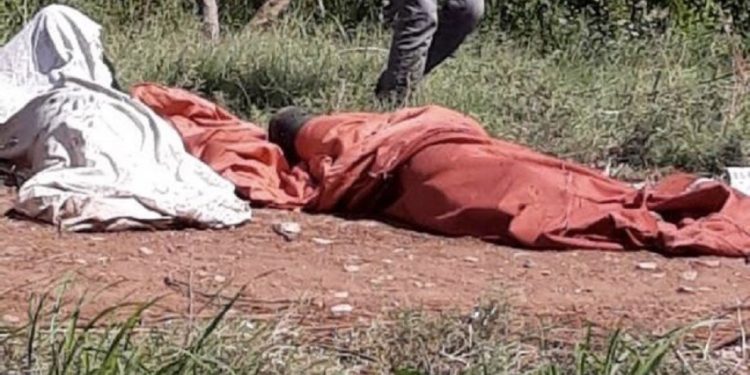 Dewleta Tirk û çeteyên wê li Efrînê 2 ciwan qetil kirin