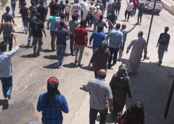 Meşa ciwanan gihaşt Sêmalka