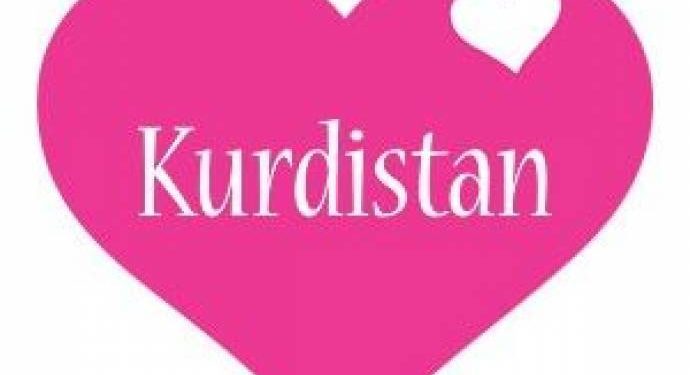 Jineke ciwan ji ber navê “Kurdistan” nivîsand hat cezakirin