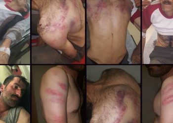 Leşkerên Tirk li Şemzînanê du şivan îşkence kirin