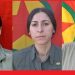 HPG’ê nasnameya 7 gerîlayên ku şehîd bûne eşkere kir