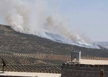Tirkên dagirker û çeteyên wê agir bi darên navçeya Raco jî xistin
