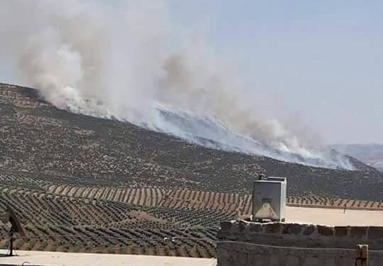 Tirkên dagirker û çeteyên wê agir bi darên navçeya Raco jî xistin