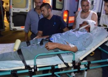 Cerdevan bi hev ketin