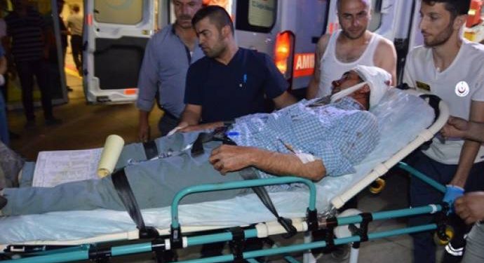 Cerdevan bi hev ketin