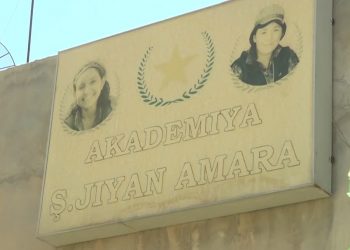 Meclisa Ciwanên MSD’ê perwedeyek ji endamên xwe yên jinên ciwan re vekiriye