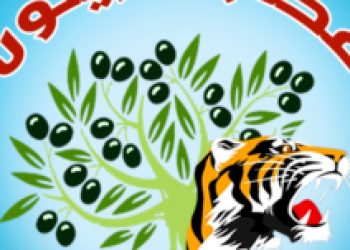 Li Efrînê Du çalakiyên Odeya Xezeba Zeytûnê, 5 çete hatin kuştin