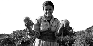 Weke navê xwe dildarê zagrosê bû