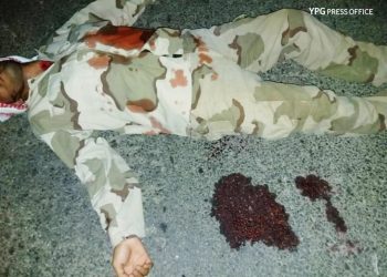 Li Efrînê 2 çeteyên dagirker hatin kuştin