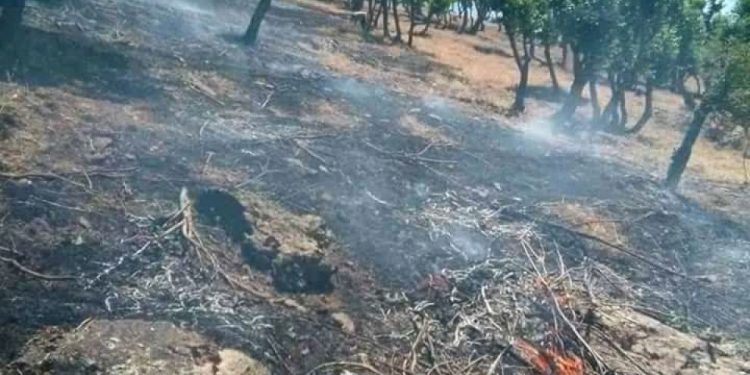 Dewleta Tirk a dagirker herêma Biradostê topbaran kir