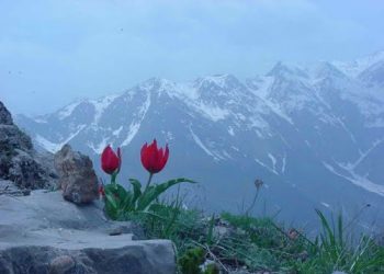 Evîndarê axa Botanê bû