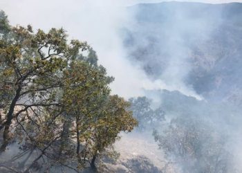 Şewata li Dersimê dewam dike