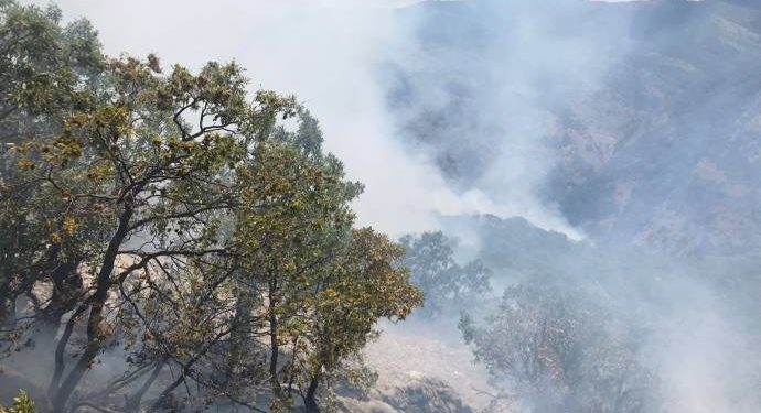 Şewata li Dersimê dewam dike