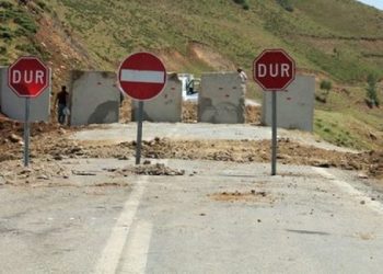 Piştre şewtandina daristana Dersîmê 31 qadan hatin qedeqe kirin