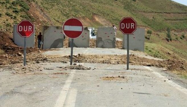 Piştre şewtandina daristana Dersîmê 31 qadan hatin qedeqe kirin