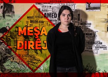 “Em kîlometre bi kîlometre ji bo Rêber APO dimeşin!“