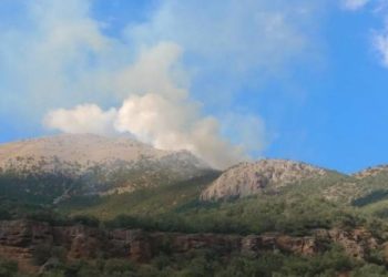 Dewleta Tirka dagirker  agir bi Çiyayê Zelê xist