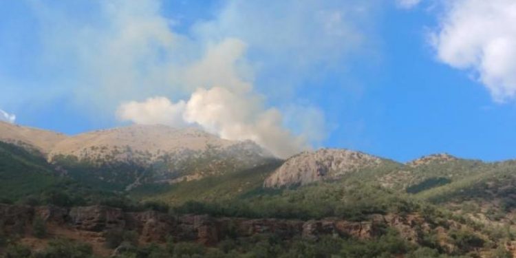 Dewleta Tirka dagirker agir bi Çiyayê Zelê xist