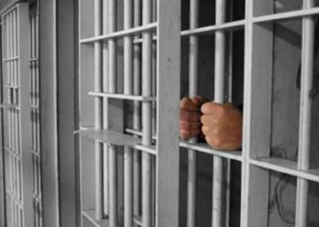 Li Panosê tîma êşkenceyê ya 12 kesî