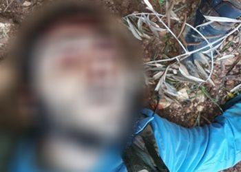 Li navçeya Cindirêsê ya Efrînê 2 çeteyên dagirker hatin kuştin