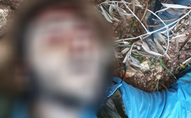 Li navçeya Cindirêsê ya Efrînê 2 çeteyên dagirker hatin kuştin