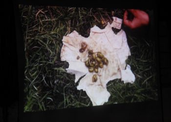 Derbarê Berxwedana Serdemê de Filîm hate pêşkêş kirin