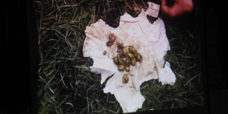 Derbarê Berxwedana Serdemê de Filîm hate pêşkêş kirin