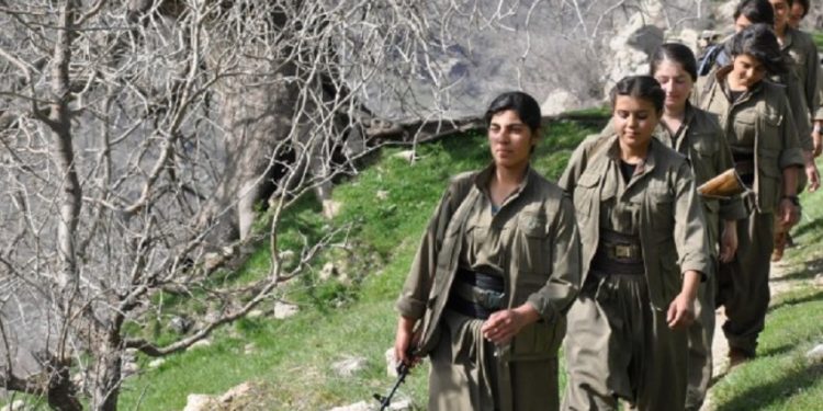 Xakurkê bi bêhna bihûştê re rêwitiyeke bêdawî ye