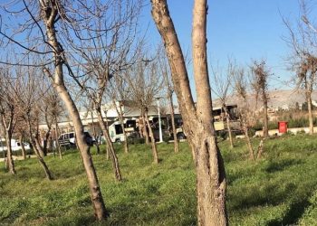 Kesên ku ji aliyê asayişa Silêmaniyê ve hatibûn  binçavkirin hemû hatin berdan