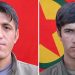 HPG 4 nasnemeya gerîllayên ku li Agîrî şehîd ketiye eşkere kir