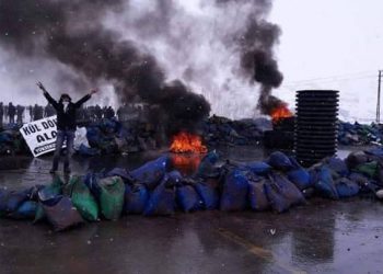 Ciwanên Kurdistan’ê li dijî tecrîdê di çalakiyan de ne