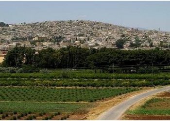 Berxwedana Têkoşîn û Vînê: Berxwedana Serdemê Efrîn