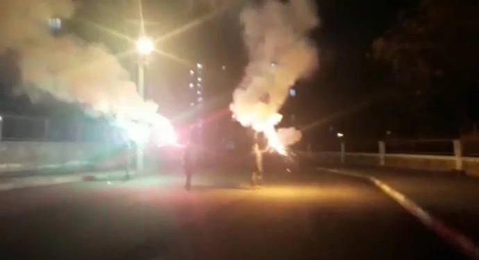 Meclîsên Ciwanên HDP’ê ji bo pişgiriya Leyla Guven çalakî li dar xistin