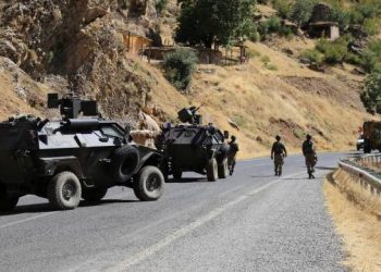 Li 43 gund û mezrayên girêdayî navenda Bedlîsê qedexeya derketina derve hat îlan kirin