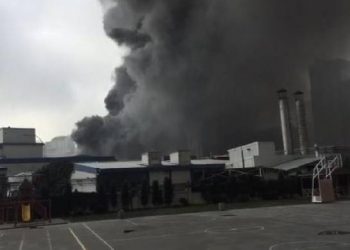 Ji ber “sedemekî nediyar” ve febrîqeyek din şewitî