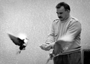 DESTHİLATDARİYA HEGEMONÎK A NAVENDÎ